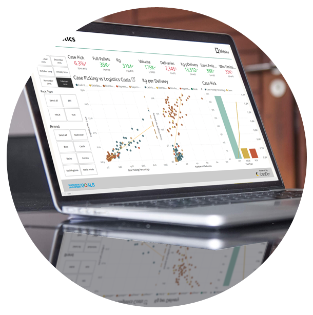Laptop view to view Cost to Serve Solutions Data