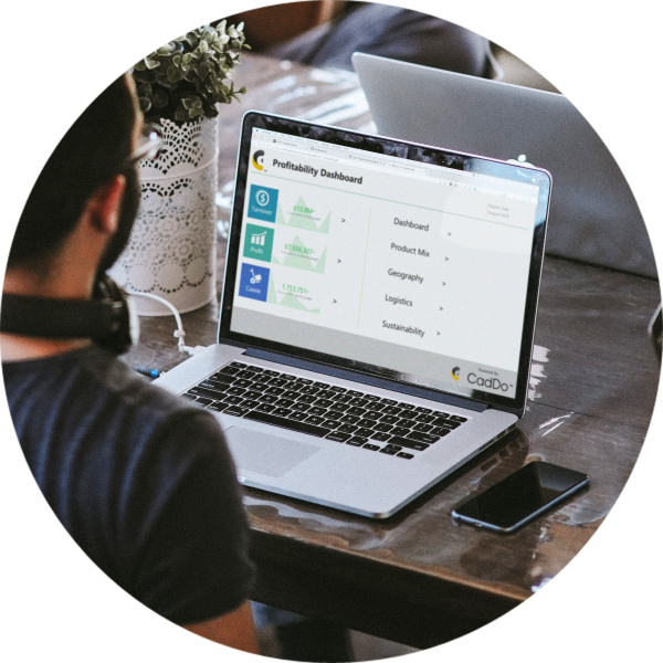 Profitability Dashboard on screen